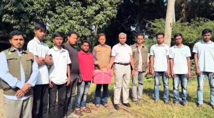 র‍্যাবের হাতে আটক ৩টি তক্ষক চুয়াডাঙ্গায় সামাজিক বনায়ন কেন্দ্রে অবমুক্ত