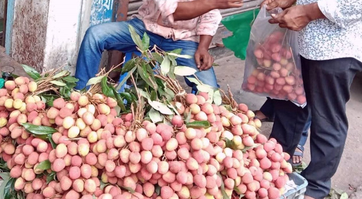 কাউখালিতে বিক্রি হচ্ছে কেমিক্যাল দিয়ে রঙিনকরা অপরিপক্ক লিচু-আম