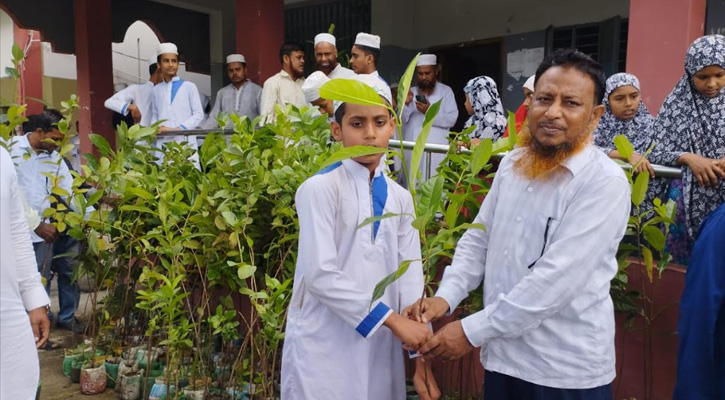 পরিবেশে দুর্বারের ছোঁয়া: চিতলমারী দাখিল মাদ্রাসায় ফল-ফুলের চারা বিতরণ
