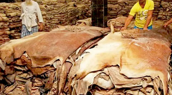কোরবানির পশুর চামড়ার মূল্য নির্ধারণ