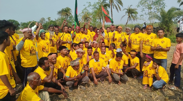 লালপুরে ১০ ইউনিয়নে কৃষকের ধান কেটে প্রশংসায় ভাসছে ধানের শীষের প্রার্থী পুতুল