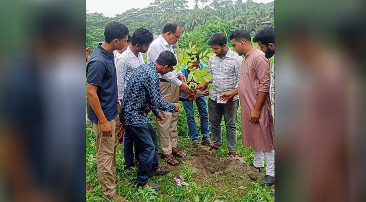 মুকসুদপুরে ছাত্রদলের বৃক্ষরোপণ