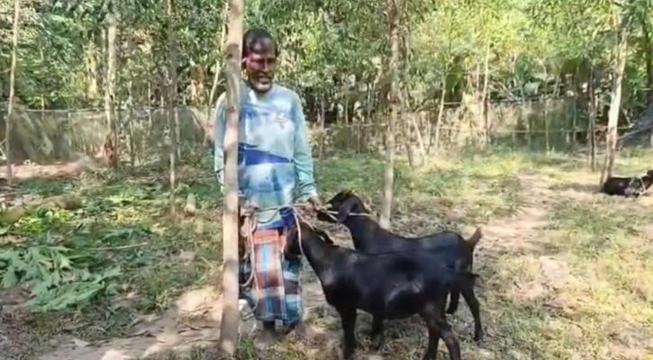 ভালুকায় ফখরউদ্দিন আহমেদ বাচ্চুর সম্মানে দিনমজুর আলালের দুটি খাসি উৎসর্গ