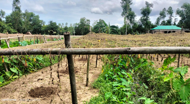 শ্রীমঙ্গলে আদালতের আদেশ অমান্য করে বয়োবৃদ্ধ বিধবার জমি জবরদখলের অভিযোগ
