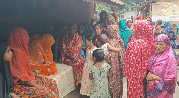 জীবননগর সীমান্তে বিএসএফ ধরে নিলেন একজন বাংলাদেশী