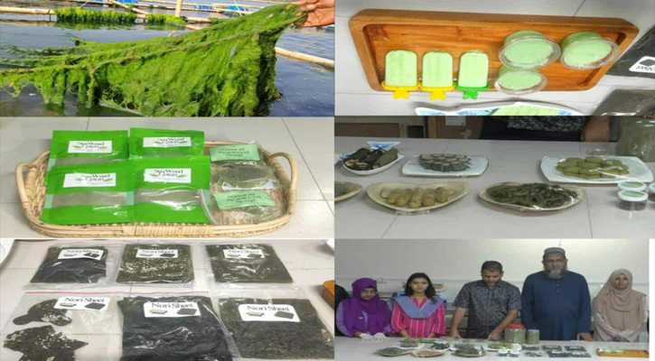পবিপ্রবিতে শৈবাল গবেষণা: খাবার ও প্রসাধনী শিল্পে সম্ভাবনার নতুন দিগন্ত