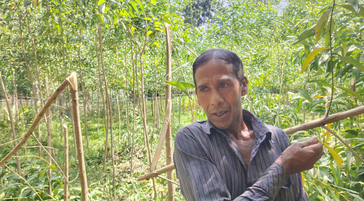 শ্রীপুরে জমি বিরোধে প্রতিপক্ষের হামলা, ২০০ গাছ কেটে ক্ষতি লাখো টাকা