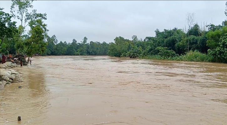 শেরপুরে নদ-নদীর পানি বৃদ্ধি, মহারশি নদীর বাঁধ ভেঙে অন্তত ১০ গ্রাম প্লাবিত