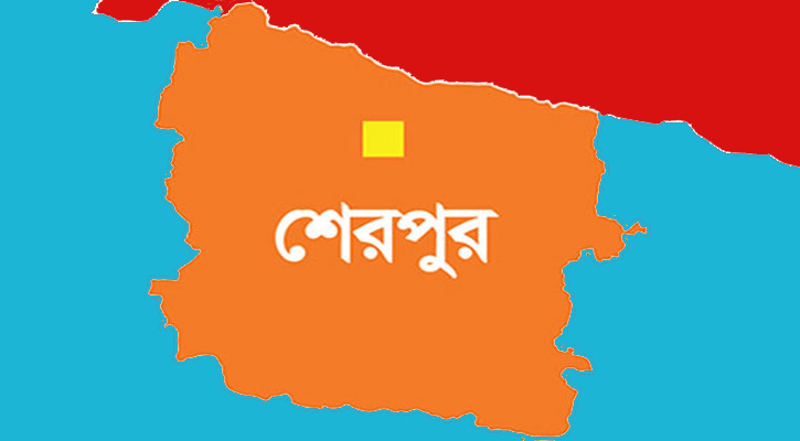 শেরপুরে পানিতে ডুবে ও বজ্রপাতে জমজ দুই বোনসহ চার জনের মৃত্যু