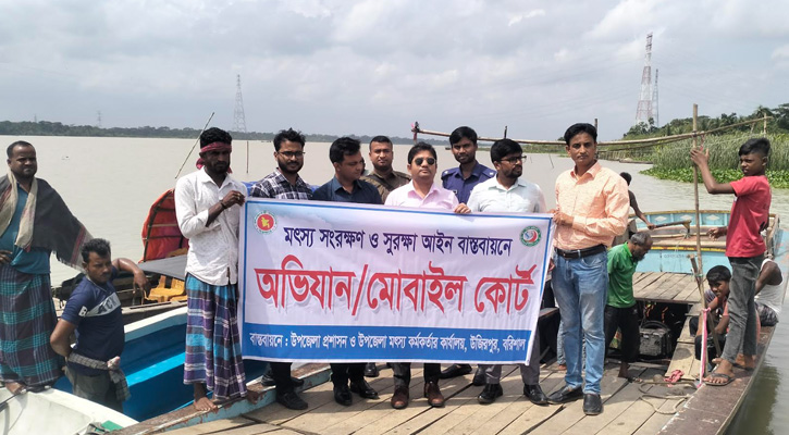 উজিরপুরে মা ইলিশ সংরক্ষণ অভিযানের প্রথম দিনে অবৈধ জাল উদ্ধার ও মা ইলিশ অবমুক্ত