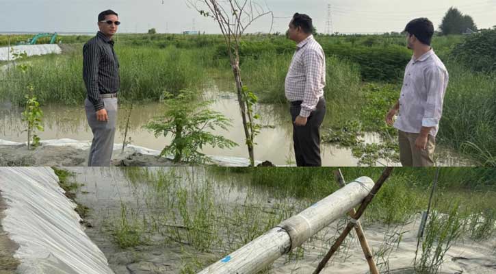 লৌহজংয়ে অবৈধ ভরাটের বিরুদ্ধে উপজেলা প্রশাসনের ঝটিকা অভিযান