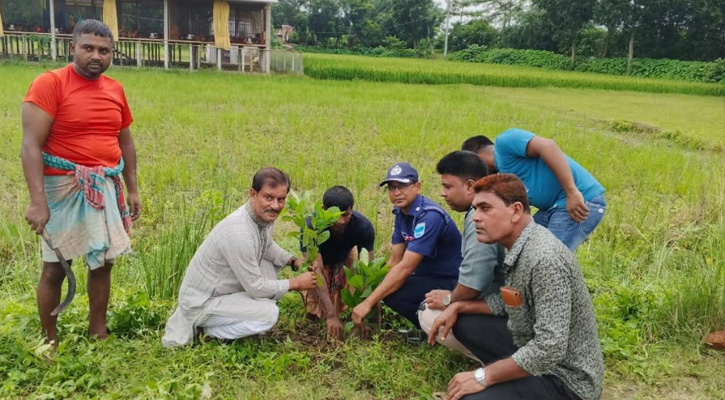 গোয়ালন্দে ওসির উদ্যোগে ১ হাজার ঔষধি গাছের চারা রোপণ