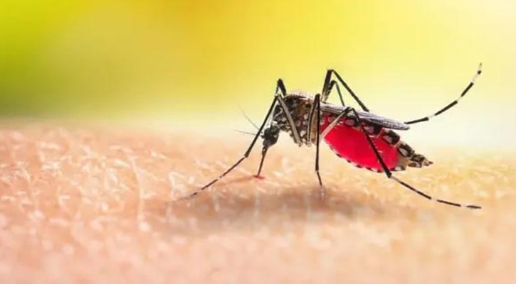 ডেঙ্গুতে আরও ৫ জনের মৃত্যু, এক দিনে হাসপাতালে ভর্তি ১১৩৯