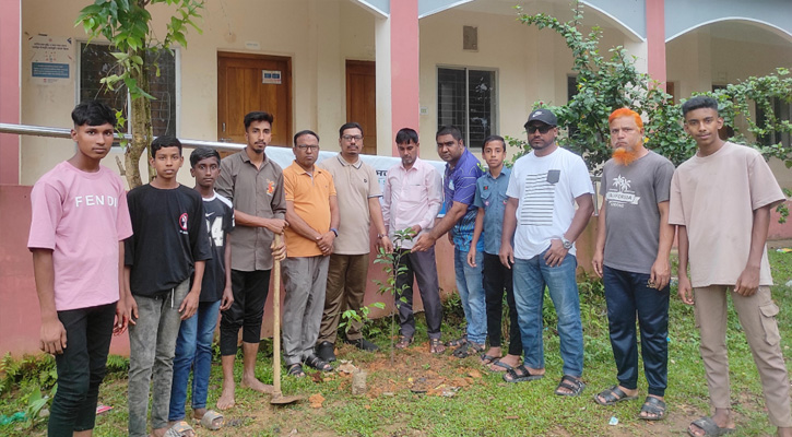 জুড়ীতে নিসচার বৃক্ষরোপণ কর্মসূচি বাস্তবায়ন