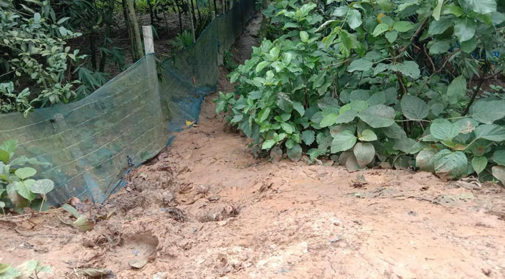 মান্দায় চলাচলের রাস্তা না থাকায় ৩০টি পরিবারের চরম ভোগান্তি