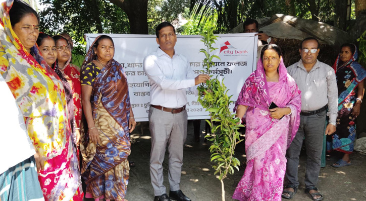 শালিখায় সিটি ব্যাংকের অর্থায়নে ৬০০ পরিবারের মাঝে ফলজ গাছের চারা বিতরণ