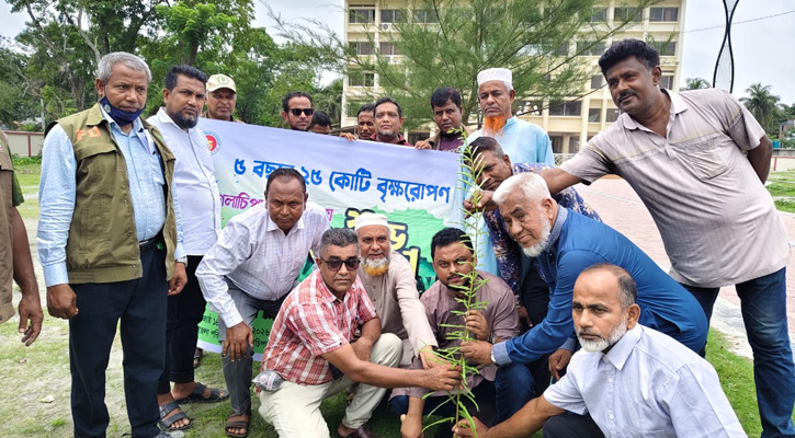গলাচিপায় ৫ বছরে ২৫ কোটি বৃক্ষরোপণ কর্মসূচির উদ্বোধন