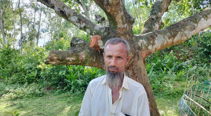 বাড়িতে হামলা, গাছ কাটা ও অর্থ লুটপাটের অভিযোগে আদালতে মামলা দায়ের