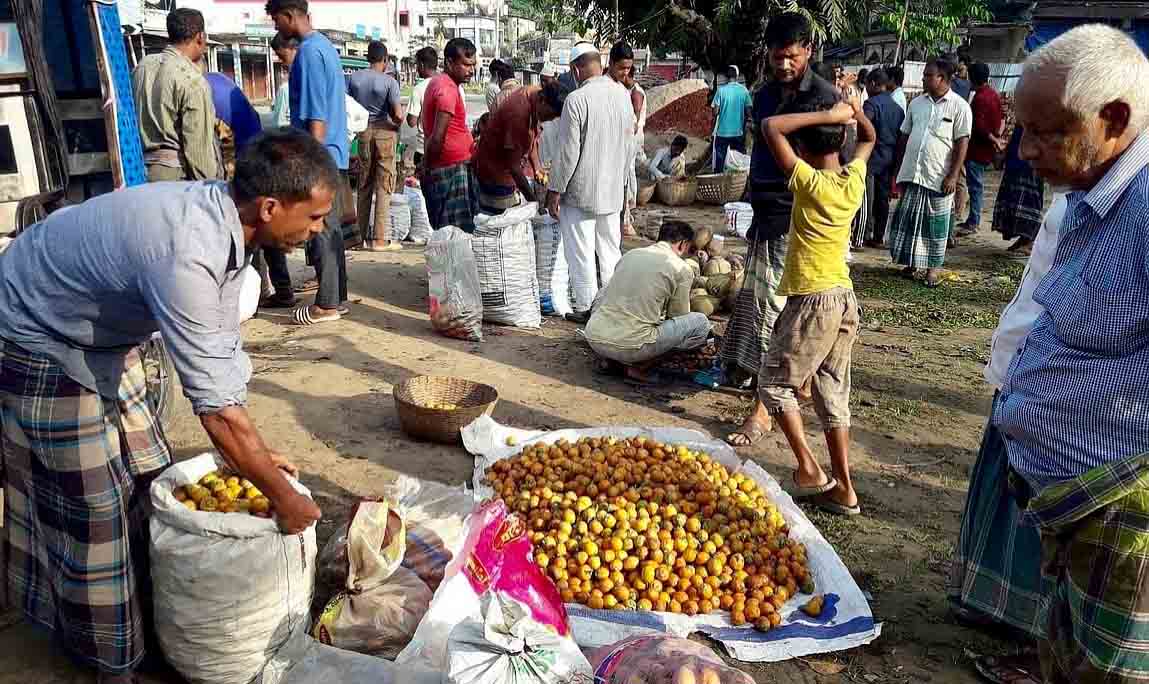 মৌলভীবাজারে শতবর্ষের স্বাক্ষী কামালপুর বাজারের প্রাচীন সুপারির হাট