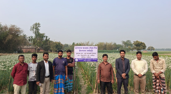 পীরগঞ্জে আমদানি নির্ভরতা কাটিয়ে স্বাবলম্বী হওয়ার পথে কৃষকরা