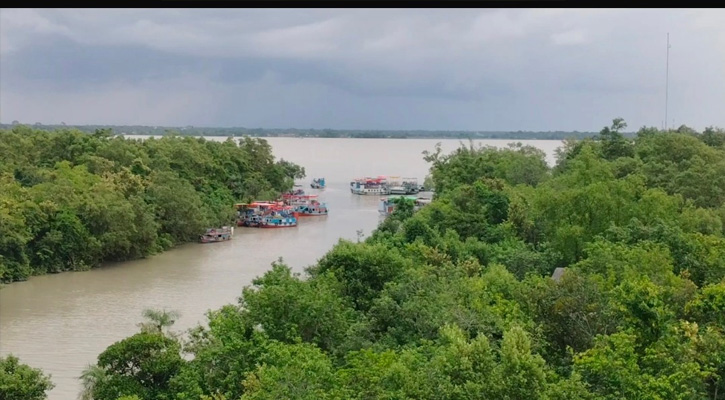 সুন্দরবনে মাছের প্রজনন সুরক্ষায় তিন মাসের জন্য মাছ ধরা নিষিদ্ধ