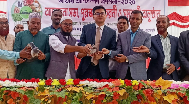 মোরেলগঞ্জে প্রাণিসম্পদ প্রদর্শনী–২০২৫ উদ্বোধন