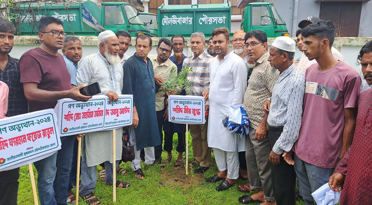 মৌলভীবাজারে কৃষকদল ও বিএনপি পরিবারের বৃক্ষরোপণ কর্মসূচি