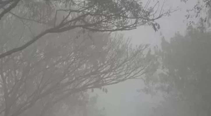 তেঁতুলিয়ায় টানা তৃতীয় দিনের মতো মৃদু শৈত্যপ্রবাহ