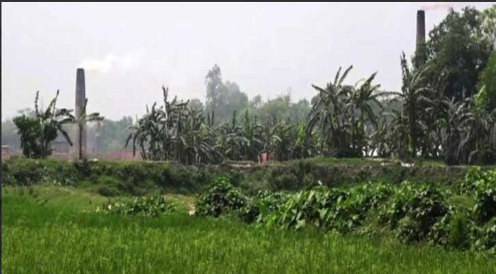 পলাশের ডাংগায় ভূমিকম্পে আরও এক কৃষকের মৃত্যু