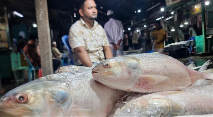 চাঁদপুর বড় স্টেশন ইলিশ ঘাটে ক্রেতা থাকলেও ইলিশের দেখা নেই