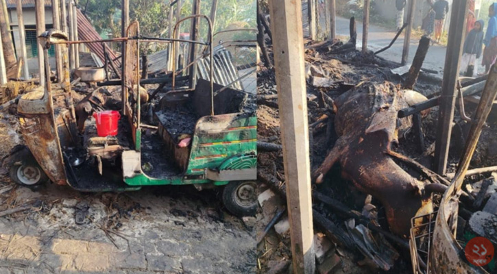 বড়াইগ্রামে অগ্নিকান্ডে সিএনজি অটোরিক্সা ও গরু-ছাগলসহ বসতবাড়ি পুড়ে ছাই