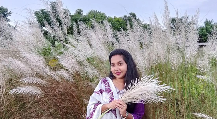 শরতের শুভ্রতায়, স্নিগ্ধতার হাতছানি দিচ্ছে কাশফুল