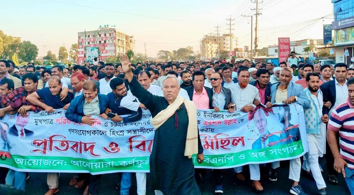 আনোয়ারা–কর্ণফুলীতে বিএনপি ও অঙ্গ সংগঠনের প্রতিবাদী মিছিল