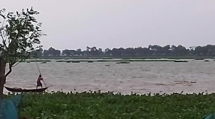 তানোরে বিলে পানি আছে, মাছ নেই: মানবেতর জীবন যাপন মৎস্যজীবীদের