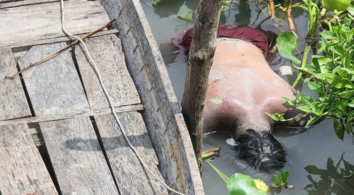 উজিরপুরে সন্ধ্যা নদীতে গোসল করতে গিয়ে নিখোঁজ গৃহবধূর লাশ উদ্ধার