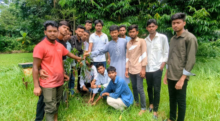 নলছিটিতে কলেজ ছাত্রদলের বৃক্ষরোপণ কর্মসূচি পালন
