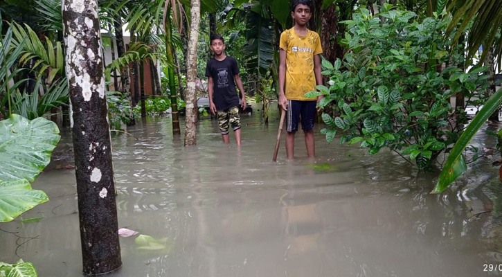 জোয়ার ও অতিবর্ষণে পিরোজপুরের নিম্নাঞ্চল প্লাবিত