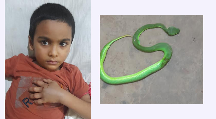 সাপে কাটা রোগী সাপ নিয়ে হাজির হাসপাতালে