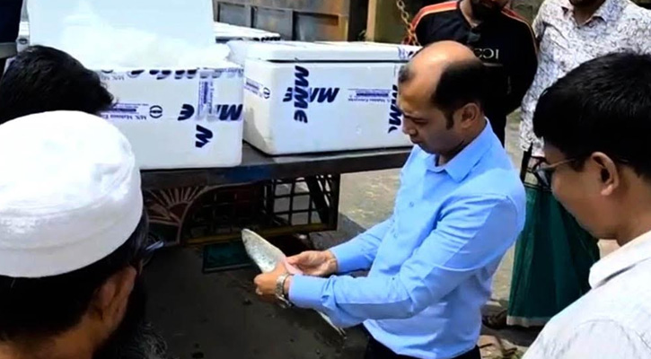 দুর্গাপূজা উপলক্ষে ভারতে ৮ দিনে ১০২ মেট্রিকটন ইলিশ রপ্তানি