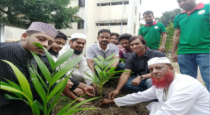 ইবির লালন শাহ হলে শতাধিক সুপারির চারা রোপণ
