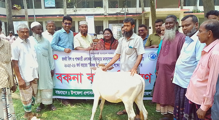 তানোরে নিবন্ধিত জেলেদের মাঝে বিনামূল্যে বকনা বাছুর বিতরণ