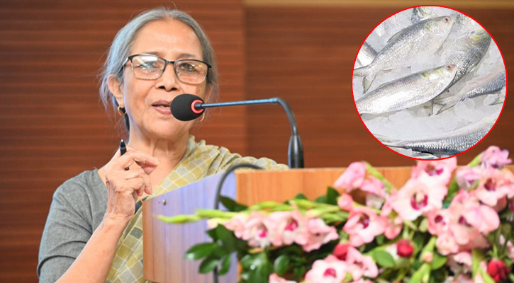 ইলিশ রক্ষায় বিমানবাহিনী ড্রোনের মাধ্যমে তদারকি করবে : মৎস্য উপদেষ্টা
