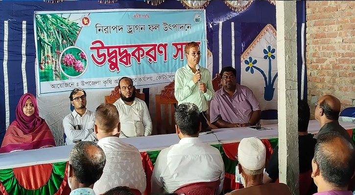 নিরাপদ ড্রাগন ফল উৎপাদনে কোটচাঁদপুরে চাষি ও ব্যবসায়ীদের সঙ্গে সভা