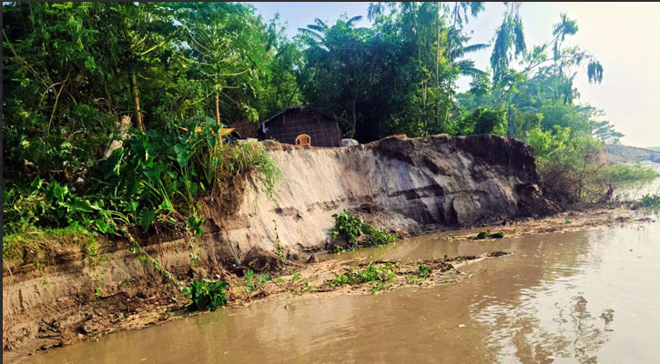 সুন্দরগঞ্জে তিস্তা ভাঙনকবলিত পরিবারের খোঁজ নিচ্ছে না কেউ