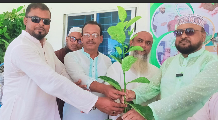 নান্দাইলে মাওলানা আফতাব উদ্দিন ওয়েলফেয়ার ট্রাস্টের উদ্যোগে ৫০০ গাছের চারা বিতরণ