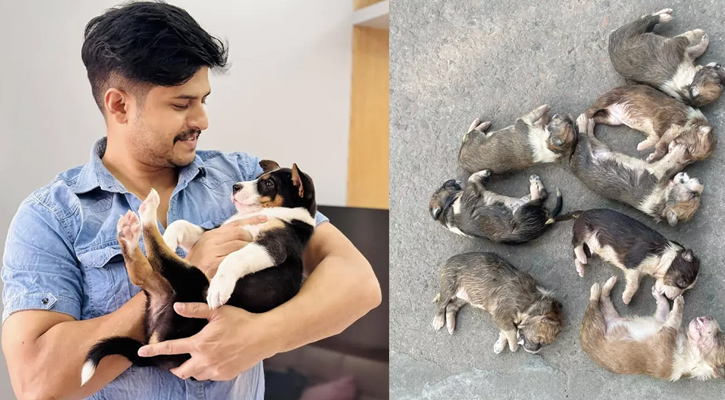 ৮ কুকুরছানা হত্যার বিচার চাইলেন নিলয়