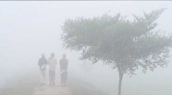 ২০ জেলায় বইছে শৈত্যপ্রবাহ, তেঁতুলিয়ায় দেশের সর্বনিম্ন তাপমাত্রা
