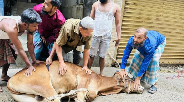 ঈদের দ্বিতীয় দিনেও চলছে পশু কোরবানি