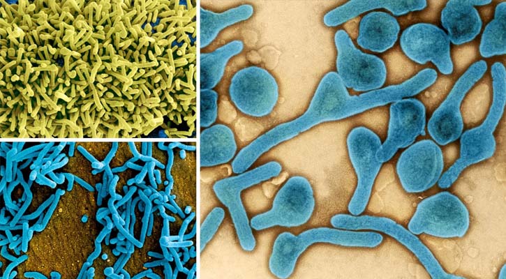 নতুন প্রাণঘাতী ছোঁয়াচে ভাইরাস চোখ রাঙাচ্ছে আফ্রিকায়