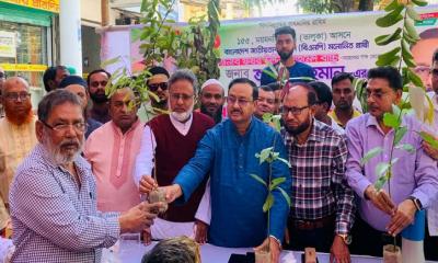 ভালুকায় তারেক রহমানের জন্মদিনেমানবিক ও পরিবেশবান্ধব মহোৎসব